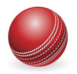 Shiny red traditional cricket ball