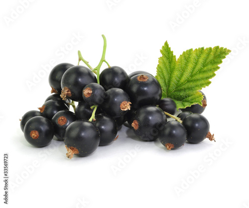 Foto: Johannisbeeren Johannisbeeren