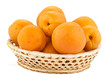 Albicocche