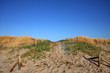 Strandweg durch die Dünen zum Meer Strandweg durch die Dünen zum Meer