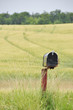 Country Mailbox Country Mailbox