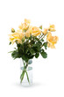 roses in a vase roses in a vase