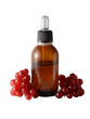 ribes