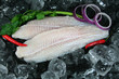 Pangasius (Basa) fillets on ice