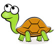 Vector: Turtle cartoon Turtle cartoon