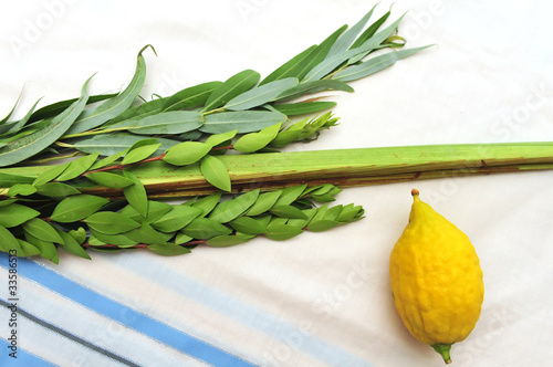 Photo: Four Species for Jewish Holiday Sukkoth Four Species for Jewish Holiday Sukkoth