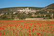 Champ de coquelicots au pied du village de Banon Champ de coquelicots au pied du village de Banon
