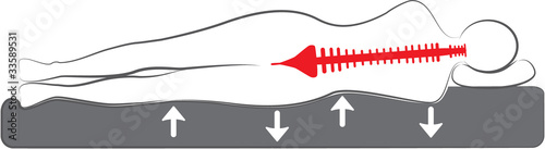 Vektor: schematic drawing of the orthopedic bed or mattress schematic drawing of the orthopedic bed or mattress