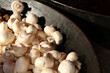 Pilzpfanne
