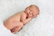 Newborn baby boy