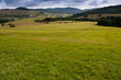 Tal im Schwarzwald