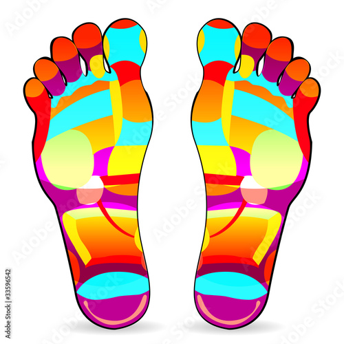 Vector: Thai foot massage chart isolated on white background Thai foot massage chart isolated on white background