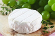 Camembert