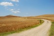 crete senesi - campi di grano con sentiero