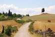 crete senesi - sentiero tra i campi