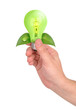 Hand Holding Green Energy Lightbulb Hand Holding Green Energy Lightbulb
