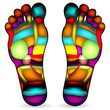 Thai foot massage chart isolated on white background