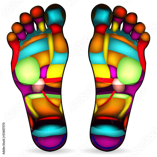 Vector: Thai foot massage chart isolated on white background Thai foot massage chart isolated on white background