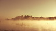 Misty morning sunrise on the marsh