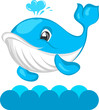 Happy Whale