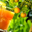 Orangensaft