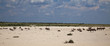 Etosha Nationalpark