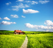 Happy family house