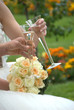 Wedding Party