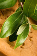 Natural Olive Soap With Fresh Branch