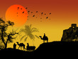 Oasis in sahara desert