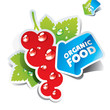 Icon currant with arrow by organic food. Vector illustration
