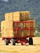transport