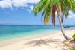 tropical beach with coconut palm. koh Lanta, Thailand tropical beach with coconut palm. koh Lanta, Thailand