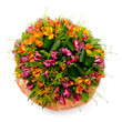 Flowers Flowers