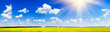Fine panorama of rapefield and cloudscape.
