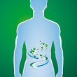 Magen, Darm, Magenmedizin, Untersuchung Magen, Darm, Magenmedizin, Untersuchung
