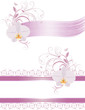 Decorative elements for design with orchids