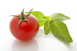 Tomate basilic
