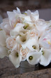 Foto: aj wedding 315 aj wedding 315
