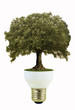 idea ecologica