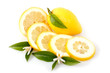 limoni a fette limoni a fette