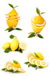 Gruppo di limoni