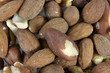 Brazil Nut and Other