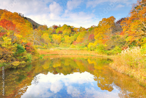 Photo: 紅葉の秋A 紅葉の秋A
