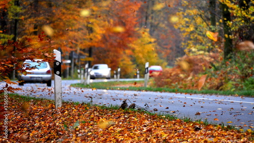 Foto: Herbst Straßenverkehr Herbst Straßenverkehr
