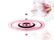 Wassertropfen mit Blume rosa