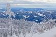Photo: Schwarzwald Schwarzwald