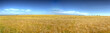 HDR panoramique de champ de blé