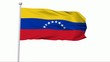 Fahne Venezuela NTSC