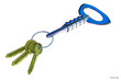 Bottle opener